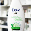 Dove Cucumber & Green Tea Scent Body Wash- 500 ml