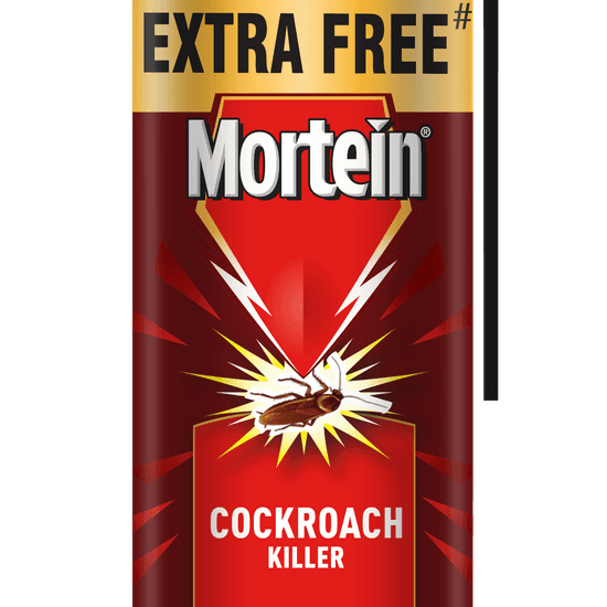 MORTEIN MOSQUITO KILLER SPRAY-425ML